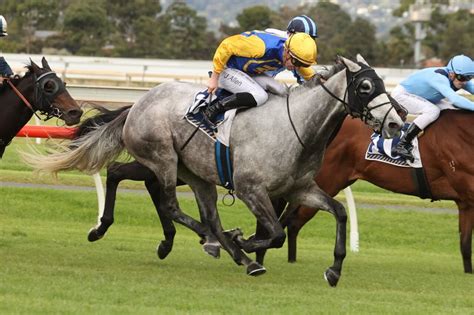 Queen Of The South Stakes Tips, Betting Odds, Past Winners .